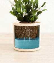 Load image into Gallery viewer, Cream