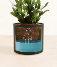 Load image into Gallery viewer, Black