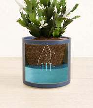 Load image into Gallery viewer, Deep Navy