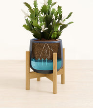 Load image into Gallery viewer, Deep Navy stand:bamboo