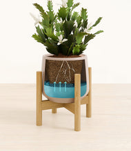 Load image into Gallery viewer, Eternal Gray stand:bamboo