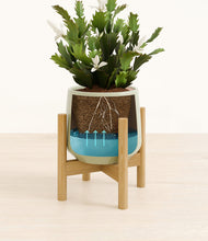 Load image into Gallery viewer, Turquoise stand:bamboo