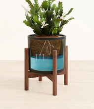 Load image into Gallery viewer, Black stand:walnut