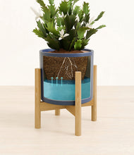 Load image into Gallery viewer, Deep Navy stand:bamboo