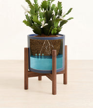 Load image into Gallery viewer, Deep Navy stand:walnut