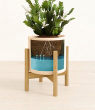 Load image into Gallery viewer, Cream stand:bamboo
