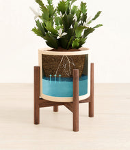 Load image into Gallery viewer, Cream stand:walnut