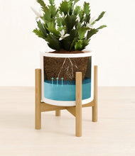 Load image into Gallery viewer, White stand:bamboo