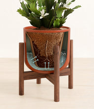 Load image into Gallery viewer, -