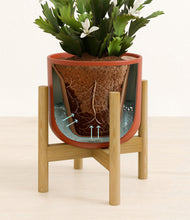 Load image into Gallery viewer, -