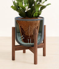 Load image into Gallery viewer, -