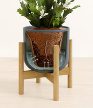 Load image into Gallery viewer, -