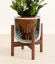 Load image into Gallery viewer, -