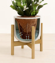 Load image into Gallery viewer, -