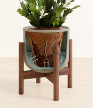 Load image into Gallery viewer, -