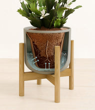 Load image into Gallery viewer, -