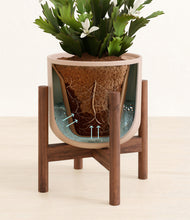 Load image into Gallery viewer, -