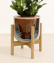 Load image into Gallery viewer, -