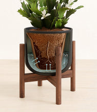 Load image into Gallery viewer, -