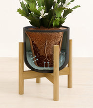 Load image into Gallery viewer, -