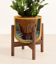 Load image into Gallery viewer, -