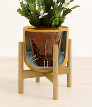 Load image into Gallery viewer, -