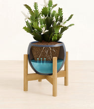 Load image into Gallery viewer, Deep Navy stand:bamboo