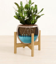 Load image into Gallery viewer, Desert Brown stand:bamboo