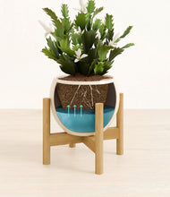 Load image into Gallery viewer, Shiny EggWhite stand:bamboo