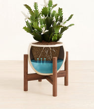 Load image into Gallery viewer, Shiny EggWhite stand:walnut