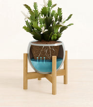 Load image into Gallery viewer, Deep Ocean stand:bamboo