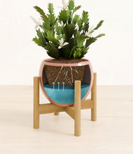 Load image into Gallery viewer, Calm Rose stand:bamboo