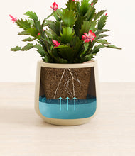 Load image into Gallery viewer, Almond Green stand:all