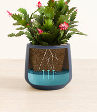 Load image into Gallery viewer, Deep Navy stand:all