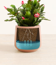 Load image into Gallery viewer, Calm Rose stand:all