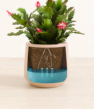 Load image into Gallery viewer, Gentle Pink stand:all