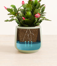 Load image into Gallery viewer, Turquoise stand:all