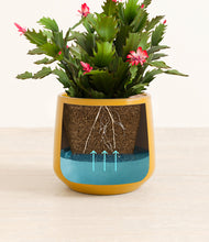 Load image into Gallery viewer, Mustard stand:all