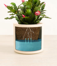 Load image into Gallery viewer, Cream