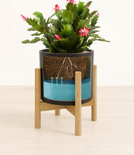 Load image into Gallery viewer, Black stand:bamboo