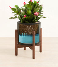 Load image into Gallery viewer, Black stand:walnut