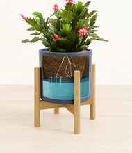 Load image into Gallery viewer, Deep Navy stand:bamboo