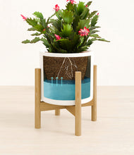 Load image into Gallery viewer, White stand:bamboo