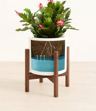 Load image into Gallery viewer, White stand:walnut