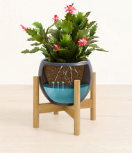 Load image into Gallery viewer, Deep Navy stand:bamboo