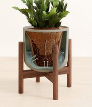 Load image into Gallery viewer, Sage Green stand:walnut