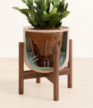 Load image into Gallery viewer, Sandy Pink stand:walnut