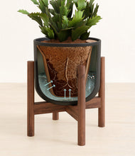 Load image into Gallery viewer, Stone Black stand:walnut