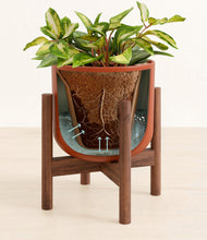 Load image into Gallery viewer, Earth Red stand:walnut