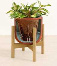 Load image into Gallery viewer, Earth Red stand:bamboo